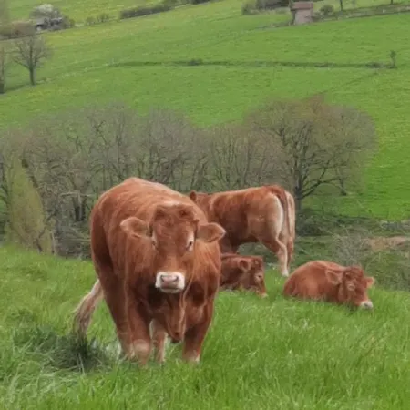 Les Coteaux De Planeze, Ideal Deplacement Pro Homestay *